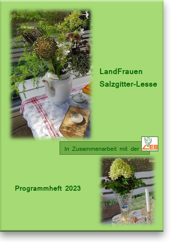 LFV Salzgitter-Lesse-Programm 2023